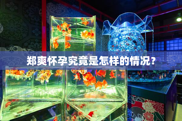 郑爽怀孕究竟是怎样的情况？