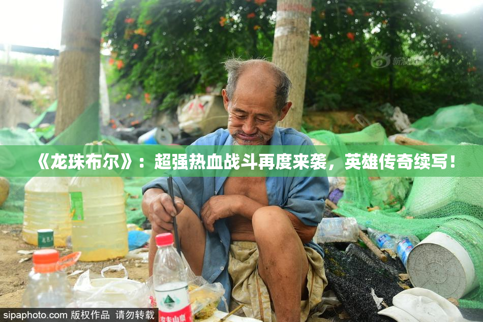 《龙珠布尔》：超强热血战斗再度来袭，英雄传奇续写！
