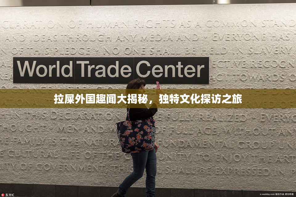 拉屎外国趣闻大揭秘，独特文化探访之旅