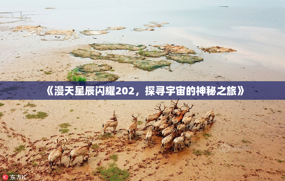《漫天星辰闪耀202，探寻宇宙的神秘之旅》
