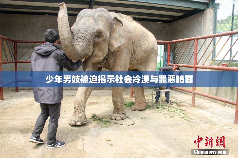 少年男妓被迫揭示社会冷漠与罪恶暗面