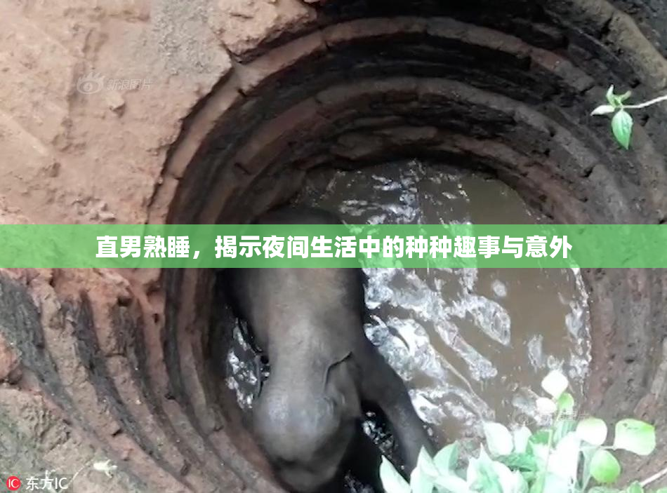 直男熟睡，揭示夜间生活中的种种趣事与意外