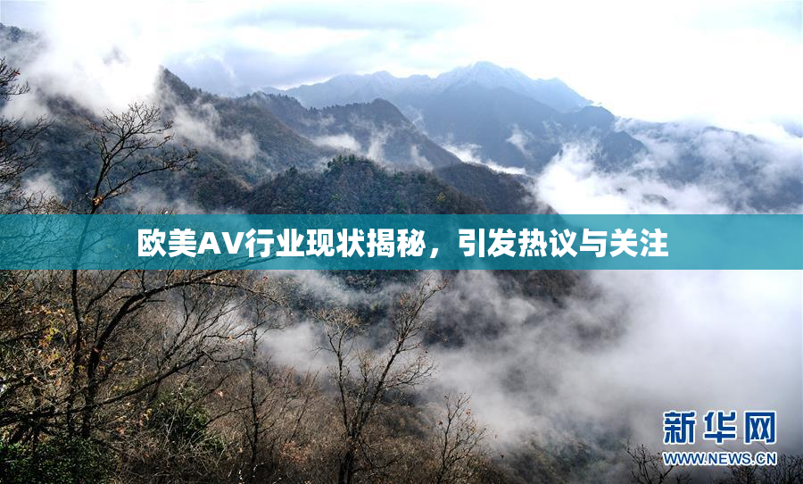 欧美AV行业现状揭秘，引发热议与关注