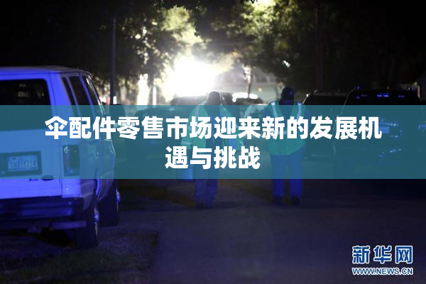 伞配件零售市场迎来新的发展机遇与挑战