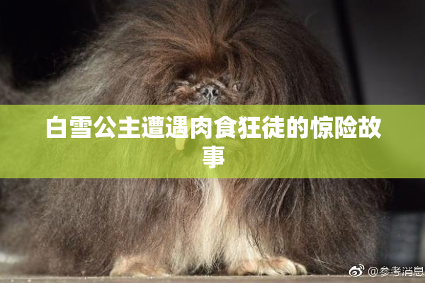白雪公主遭遇肉食狂徒的惊险故事