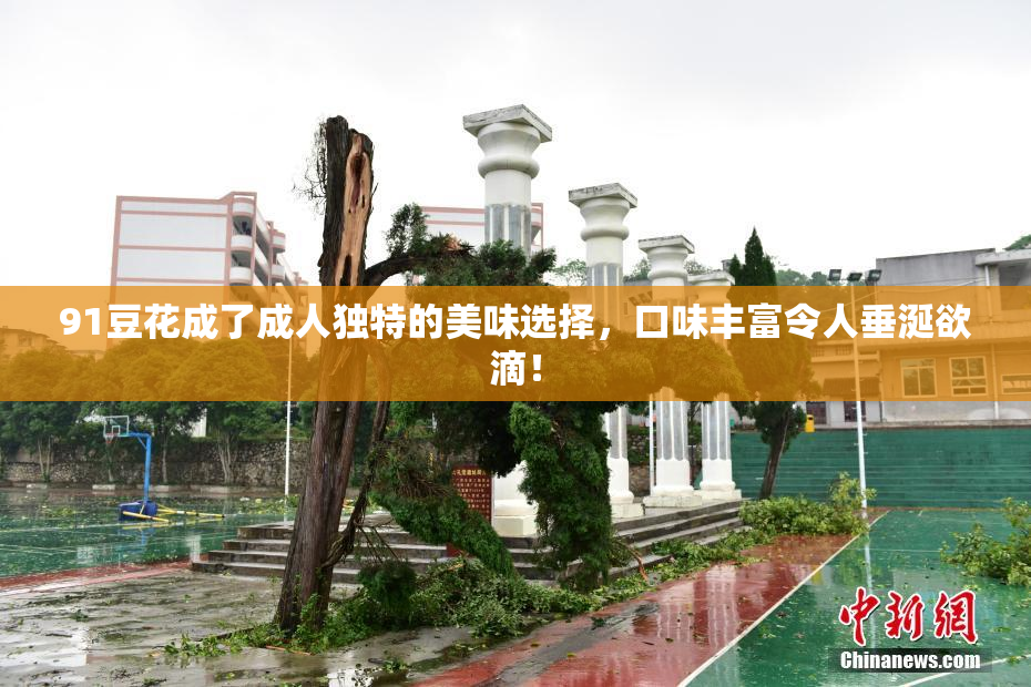 91豆花成了成人独特的美味选择，口味丰富令人垂涎欲滴！