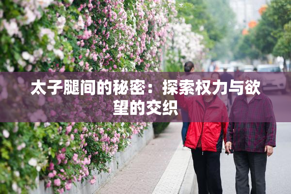 太子腿间的秘密：探索权力与欲望的交织