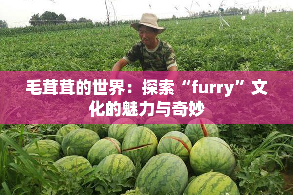 毛茸茸的世界：探索“furry”文化的魅力与奇妙