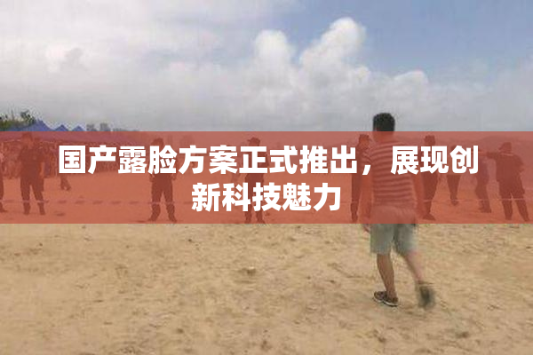 国产露脸方案正式推出，展现创新科技魅力