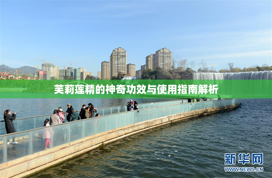 芙莉莲精的神奇功效与使用指南解析