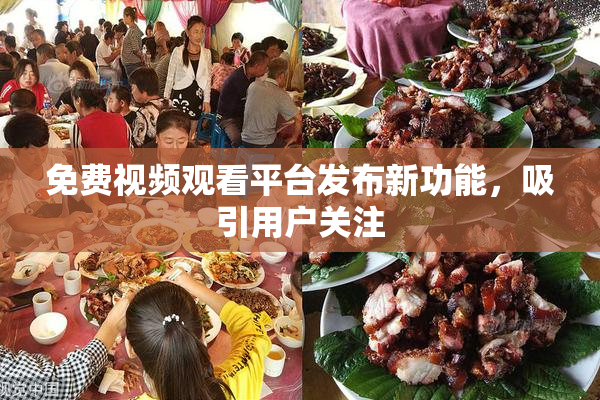 免费视频观看平台发布新功能，吸引用户关注
