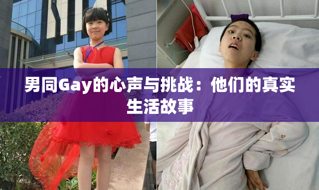 男同Gay的心声与挑战：他们的真实生活故事