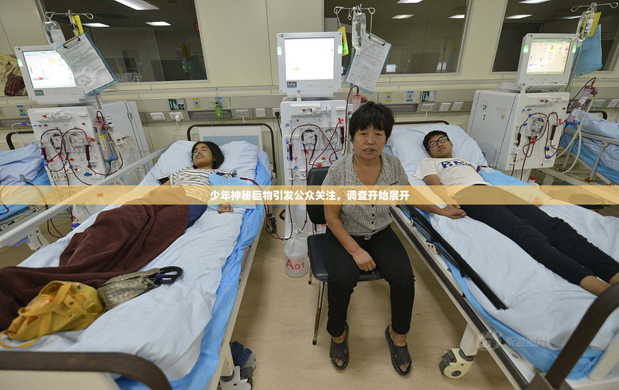 少年神秘巨物引发公众关注，调查开始展开