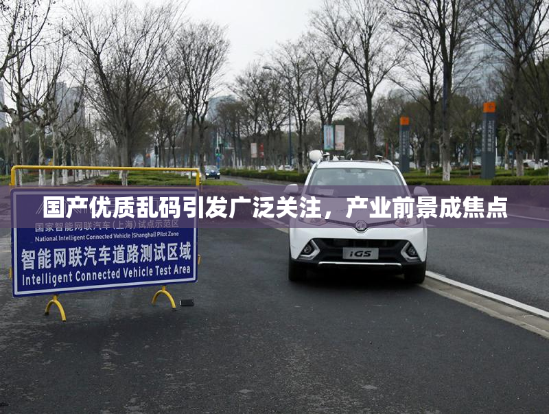 国产优质乱码引发广泛关注，产业前景成焦点