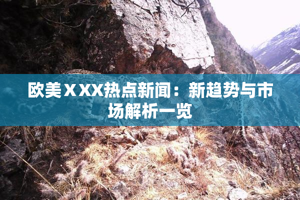 欧美ⅩXX热点新闻：新趋势与市场解析一览