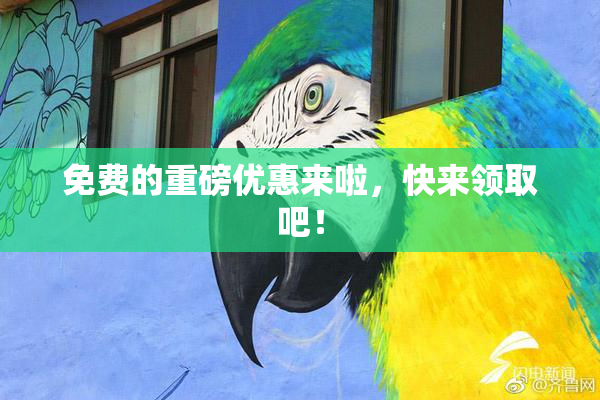 免费的重磅优惠来啦，快来领取吧！