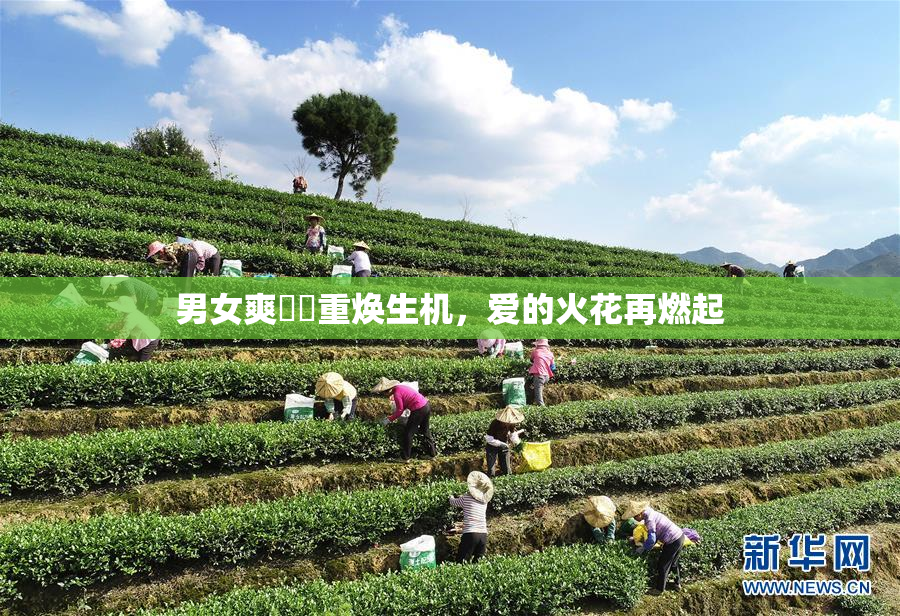 男女爽❌‌重焕生机，爱的火花再燃起