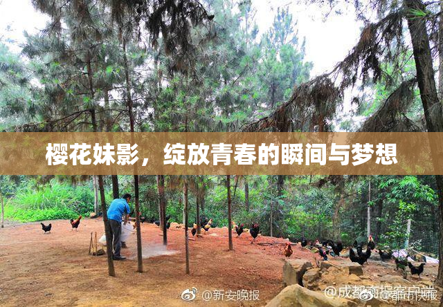 樱花妹影，绽放青春的瞬间与梦想