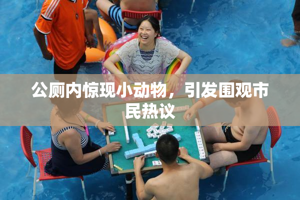 公厕内惊现小动物，引发围观市民热议