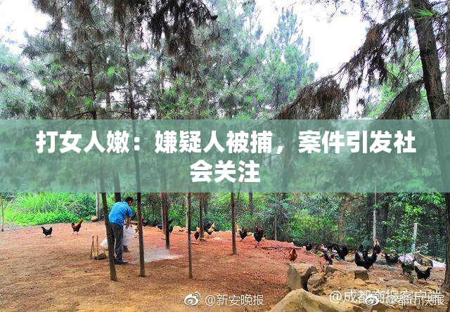 打女人嫩：嫌疑人被捕，案件引发社会关注