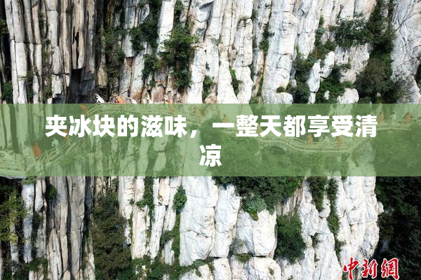 夹冰块的滋味，一整天都享受清凉