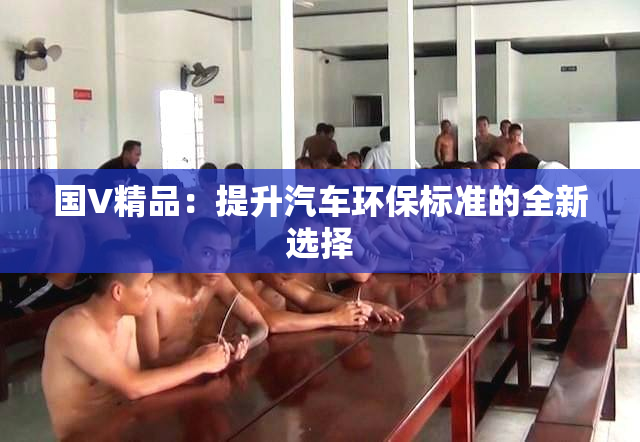 国V精品：提升汽车环保标准的全新选择