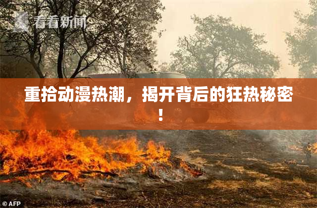 重拾动漫热潮，揭开背后的狂热秘密！