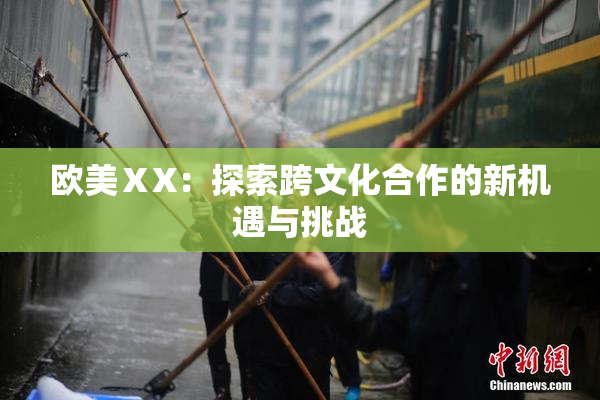 欧美ⅩX：探索跨文化合作的新机遇与挑战