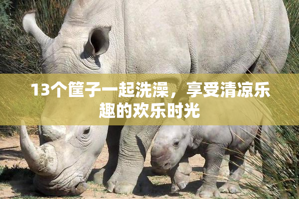 13个筐子一起洗澡，享受清凉乐趣的欢乐时光