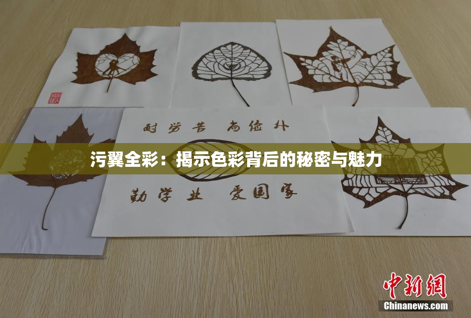 污翼全彩：揭示色彩背后的秘密与魅力