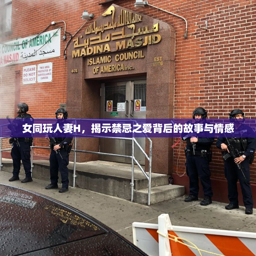 女同玩人妻H，揭示禁忌之爱背后的故事与情感
