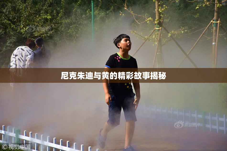 尼克朱迪与黄的精彩故事揭秘