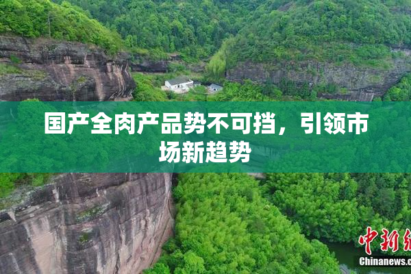 国产全肉产品势不可挡，引领市场新趋势