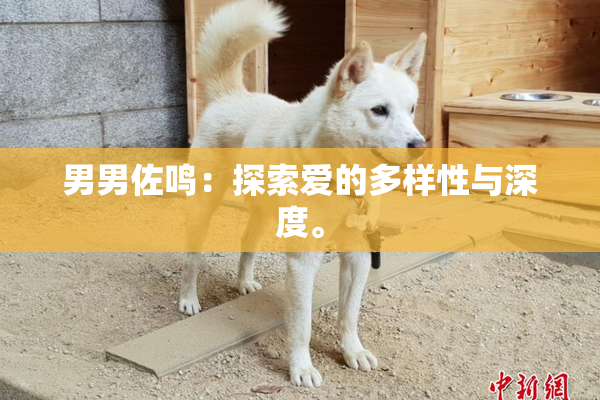 男男佐鸣：探索爱的多样性与深度。
