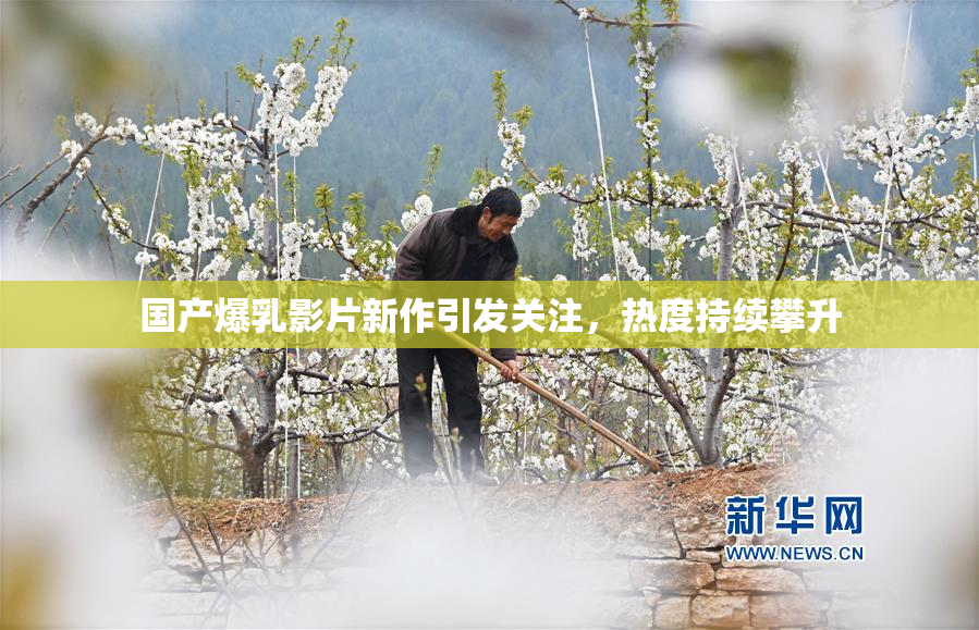 国产爆乳影片新作引发关注，热度持续攀升