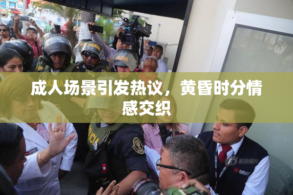 成人场景引发热议，黄昏时分情感交织