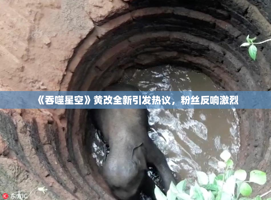 《吞噬星空》黄改全新引发热议，粉丝反响激烈