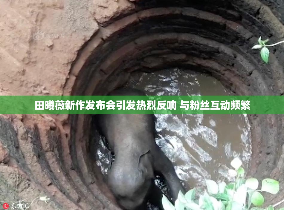 田曦薇新作发布会引发热烈反响 与粉丝互动频繁