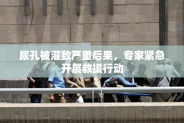 尿孔被灌致严重后果，专家紧急开展救援行动