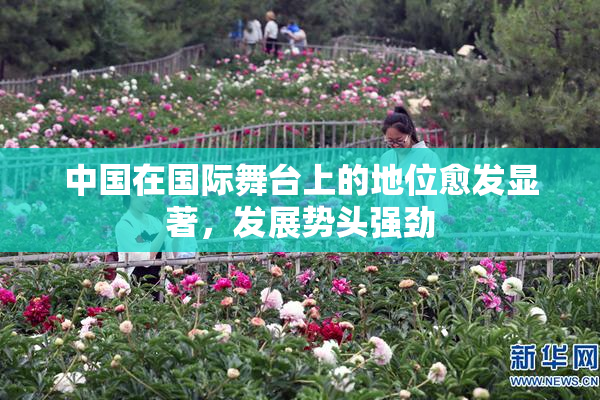 中国在国际舞台上的地位愈发显著，发展势头强劲