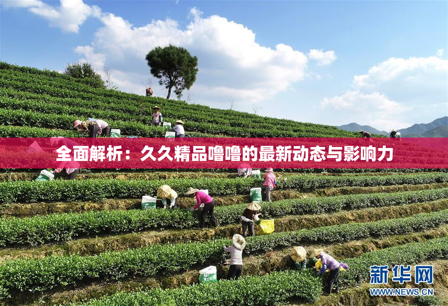 全面解析：久久精品噜噜的最新动态与影响力
