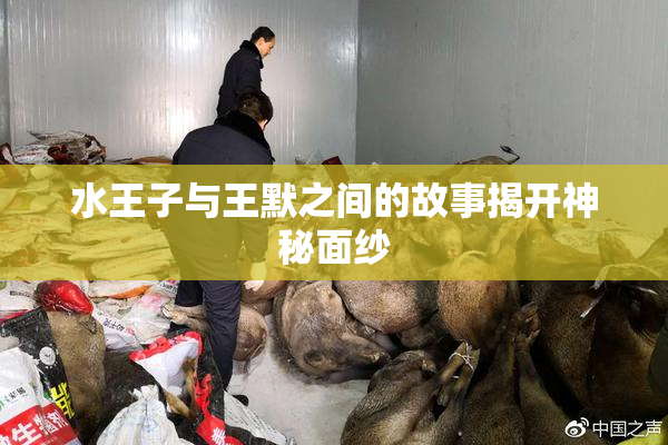 水王子与王默之间的故事揭开神秘面纱