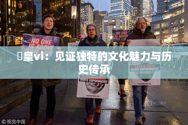 嘼皇vi：见证独特的文化魅力与历史传承