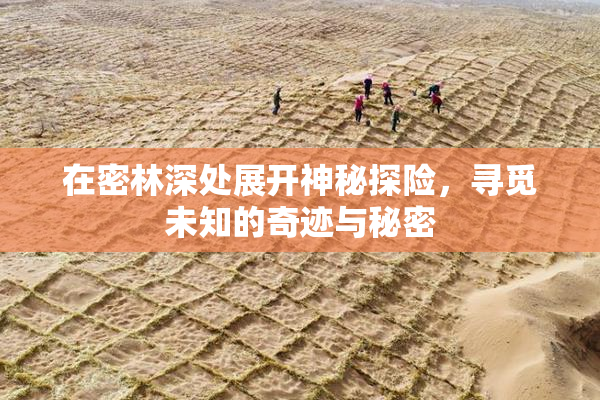 在密林深处展开神秘探险，寻觅未知的奇迹与秘密