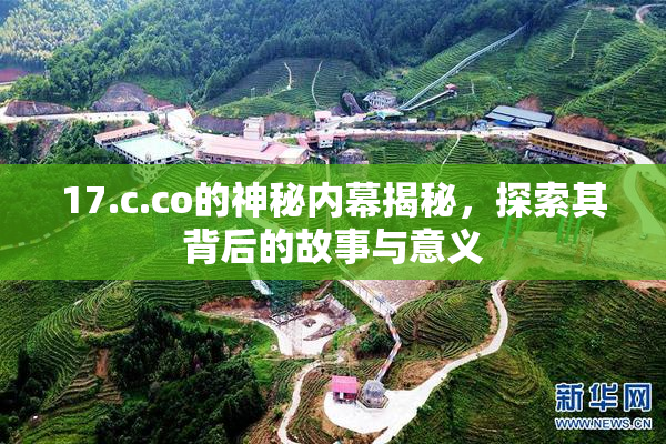 17.c.co的神秘内幕揭秘，探索其背后的故事与意义