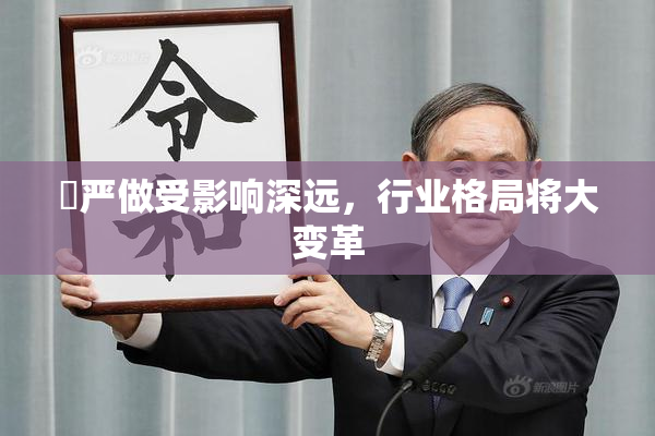 囯严做受影响深远，行业格局将大变革