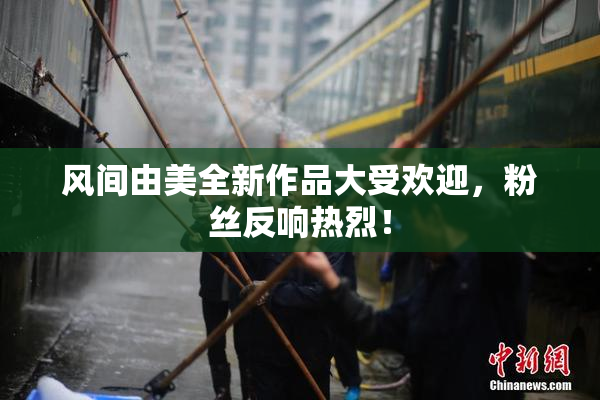 风间由美全新作品大受欢迎，粉丝反响热烈！