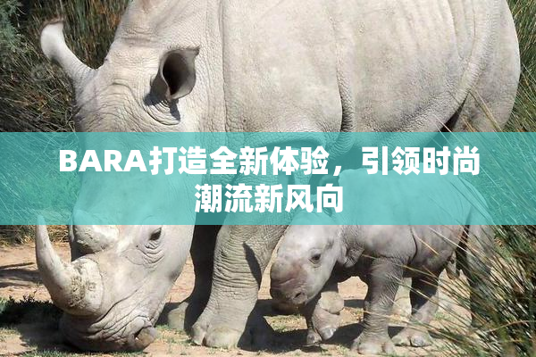 BARA打造全新体验，引领时尚潮流新风向