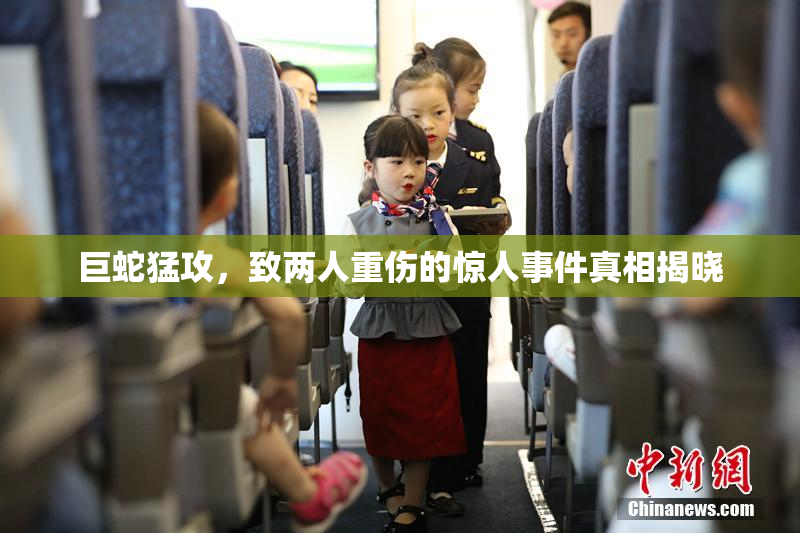 巨蛇猛攻，致两人重伤的惊人事件真相揭晓