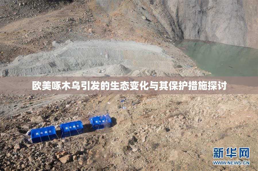 欧美啄木乌引发的生态变化与其保护措施探讨